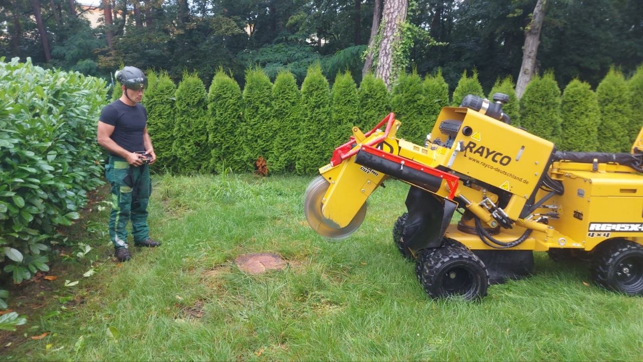 Vorbereitung einer Stubbenfräsung im Garten