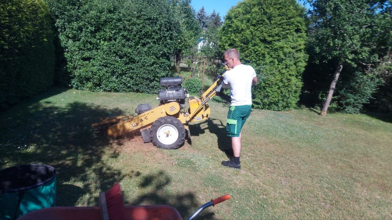 Baumstumpffräse im Einsatz auf einer gepflegten Rasenfläche